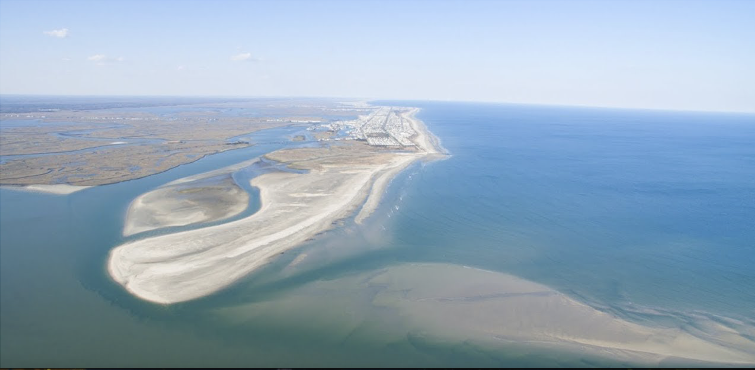 Hereford Inlet Study — Save Coastal Wildlife